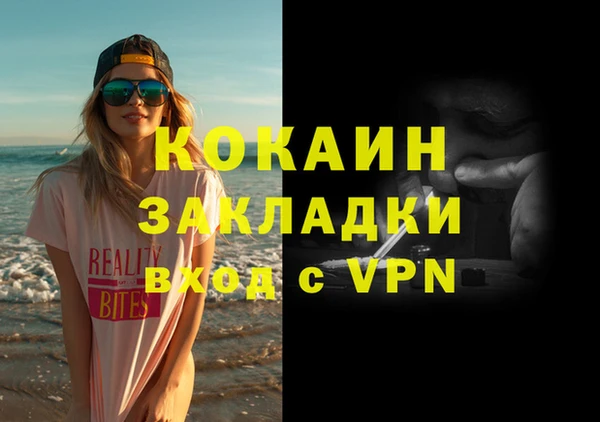 гидра Вязьма