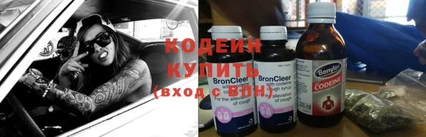 гидра Вязьма