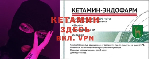 гидра Вязьма