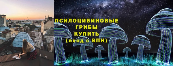 гидра Вязьма