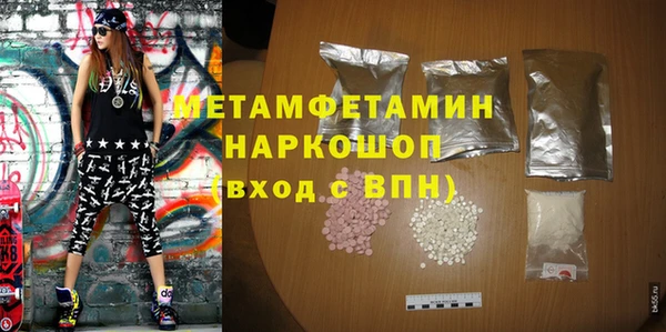 гидра Вязьма