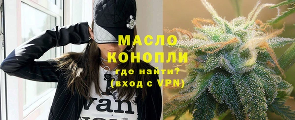 гидра Вязьма
