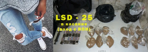 гидра Вязьма