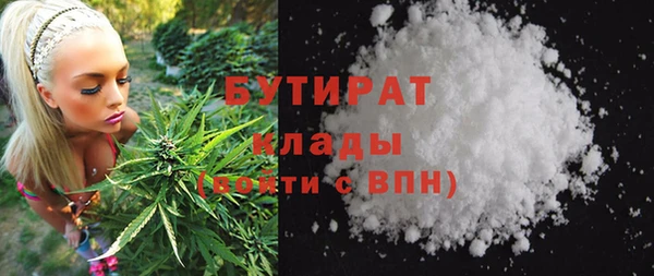 гидра Вязьма