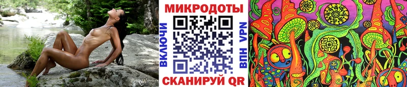 Псилоцибиновые грибы прущие грибы  Жиздра 